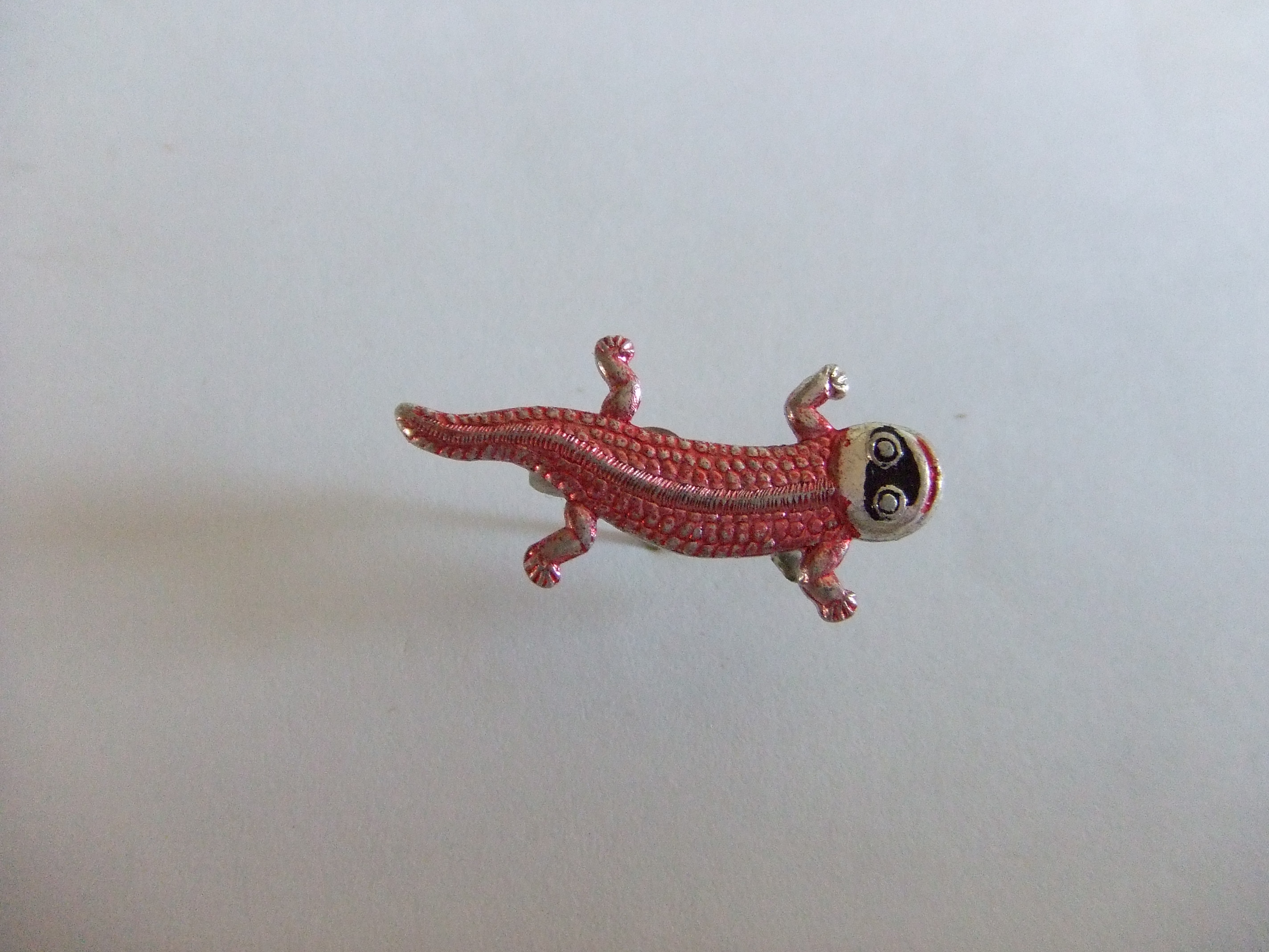 Salamander (2)